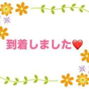 ヒメ日記 2025/10/07 12:38 投稿 樋口 熟女の風俗最終章 新横浜店