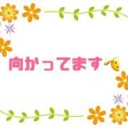 ヒメ日記 2025/10/11 15:14 投稿 樋口 熟女の風俗最終章 新横浜店