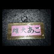 ヒメ日記 2025/02/05 10:05 投稿 あこ CLUB DEEP