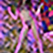 ヒメ日記 2025/11/20 18:49 投稿 安倍なつみ 完全ガチ交渉!!素人妻を狙え!!(仙台)