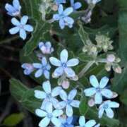 ヒメ日記 2025/01/28 15:19 投稿 藤田ますみ 完全ガチ交渉!!素人妻を狙え!!(仙台)