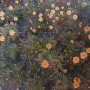 ヒメ日記 2025/02/09 03:59 投稿 藤田ますみ 完全ガチ交渉!!素人妻を狙え!!(仙台)