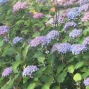 ヒメ日記 2025/02/14 04:00 投稿 藤田ますみ 完全ガチ交渉!!素人妻を狙え!!(仙台)