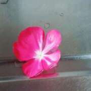 ヒメ日記 2025/02/28 10:29 投稿 藤田ますみ 完全ガチ交渉!!素人妻を狙え!!(仙台)