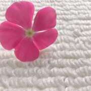 ヒメ日記 2025/03/24 07:30 投稿 藤田ますみ 完全ガチ交渉!!素人妻を狙え!!(仙台)