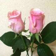 ヒメ日記 2025/03/24 14:39 投稿 藤田ますみ 完全ガチ交渉!!素人妻を狙え!!(仙台)