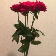 ヒメ日記 2025/03/26 07:49 投稿 藤田ますみ 完全ガチ交渉!!素人妻を狙え!!(仙台)