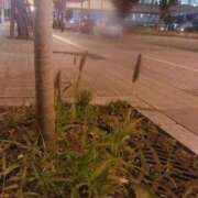 ヒメ日記 2025/04/05 07:50 投稿 藤田ますみ 完全ガチ交渉!!素人妻を狙え!!(仙台)