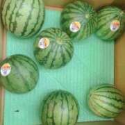 ヒメ日記 2025/04/11 14:20 投稿 藤田ますみ 完全ガチ交渉!!素人妻を狙え!!(仙台)