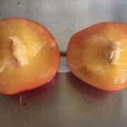 ヒメ日記 2025/04/14 09:49 投稿 藤田ますみ 完全ガチ交渉!!素人妻を狙え!!(仙台)