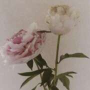 ヒメ日記 2025/04/24 15:19 投稿 藤田ますみ 完全ガチ交渉!!素人妻を狙え!!(仙台)