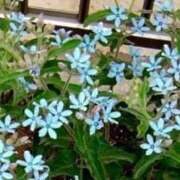 ヒメ日記 2025/06/12 15:09 投稿 藤田ますみ 完全ガチ交渉!!素人妻を狙え!!(仙台)