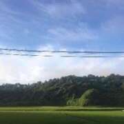 ヒメ日記 2025/06/26 00:12 投稿 藤田ますみ 完全ガチ交渉!!素人妻を狙え!!(仙台)