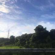 ヒメ日記 2025/08/12 16:09 投稿 藤田ますみ 完全ガチ交渉!!素人妻を狙え!!(仙台)