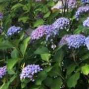 ヒメ日記 2025/10/02 22:49 投稿 藤田ますみ 完全ガチ交渉!!素人妻を狙え!!(仙台)