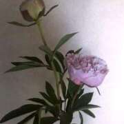 ヒメ日記 2025/10/19 06:09 投稿 藤田ますみ 完全ガチ交渉!!素人妻を狙え!!(仙台)