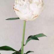 ヒメ日記 2025/11/15 03:00 投稿 藤田ますみ 完全ガチ交渉!!素人妻を狙え!!(仙台)