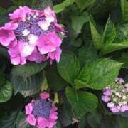 ヒメ日記 2025/11/16 03:01 投稿 藤田ますみ 完全ガチ交渉!!素人妻を狙え!!(仙台)