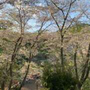 寿じゅら(プラチナ） ギリギリ🌸 Luxury（鹿児島）