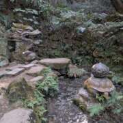 ヒメ日記 2026/02/25 17:09 投稿 橋本小鳥 Luxury（鹿児島）