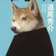 ヒメ日記 2025/05/03 11:24 投稿 なみか 白いぽっちゃりさん仙台店