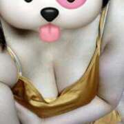 ヒメ日記 2025/05/24 09:49 投稿 ひな 石川小松ちゃんこ