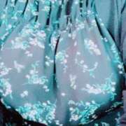 ヒメ日記 2025/06/08 14:19 投稿 ひな 石川小松ちゃんこ