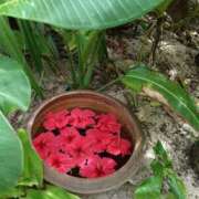 ヒメ日記 2026/04/03 15:09 投稿 ななこ もしも優しいお姉さんが本気になったら...横浜店