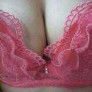 ヒメ日記 2025/11/29 20:08 投稿 かや salad(サラダ)　仙台店