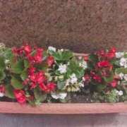 ヒメ日記 2025/03/16 10:42 投稿 ますみ salad(サラダ)　仙台店