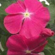 ヒメ日記 2025/05/08 07:22 投稿 ますみ salad(サラダ)　仙台店