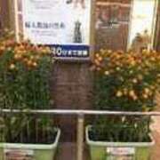 ヒメ日記 2025/06/13 14:12 投稿 ますみ salad(サラダ)　仙台店