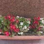 ヒメ日記 2025/09/30 16:52 投稿 ますみ salad(サラダ)　仙台店