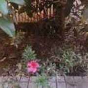 ヒメ日記 2025/10/18 06:22 投稿 ますみ salad(サラダ)　仙台店