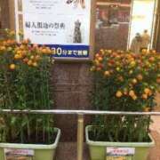 ヒメ日記 2025/11/09 06:12 投稿 ますみ salad(サラダ)　仙台店