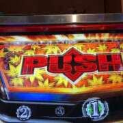 ヒメ日記 2025/11/21 18:24 投稿 やえこ 熟女の風俗最終章 池袋店