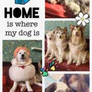 ヒメ日記 2025/01/16 12:15 投稿 みく 素人妻御奉仕倶楽部Hip's取手店