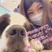 ヒメ日記 2025/02/02 11:25 投稿 みく 素人妻御奉仕倶楽部Hip's取手店