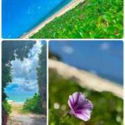ヒメ日記 2026/07/08 09:51 投稿 みく 素人妻御奉仕倶楽部Hip's取手店