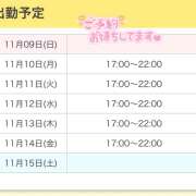 ヒメ日記 2025/11/09 14:13 投稿 りゆ 秋葉原 添い寝女子