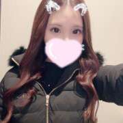 ヒメ日記 2025/01/08 09:32 投稿 ひめ かりんと秋葉原