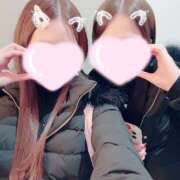 ヒメ日記 2025/01/18 20:50 投稿 ひめ かりんと秋葉原