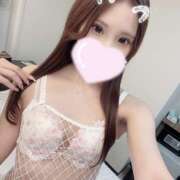 ヒメ日記 2025/02/11 09:19 投稿 ひめ かりんと秋葉原