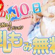 ヒメ日記 2025/04/10 12:23 投稿 ひめ かりんと秋葉原