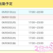 ヒメ日記 2025/05/31 12:46 投稿 ひめ かりんと秋葉原