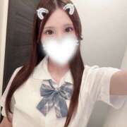 ヒメ日記 2025/07/29 11:04 投稿 ひめ かりんと秋葉原