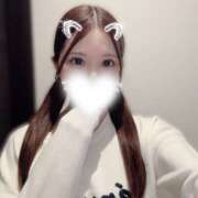 ヒメ日記 2025/10/17 10:22 投稿 ひめ かりんと秋葉原