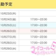 ヒメ日記 2025/10/23 15:44 投稿 ひめ かりんと秋葉原