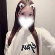 ヒメ日記 2025/10/26 10:12 投稿 ひめ かりんと秋葉原