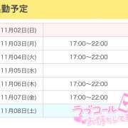 ヒメ日記 2025/11/02 16:14 投稿 ひめ かりんと秋葉原